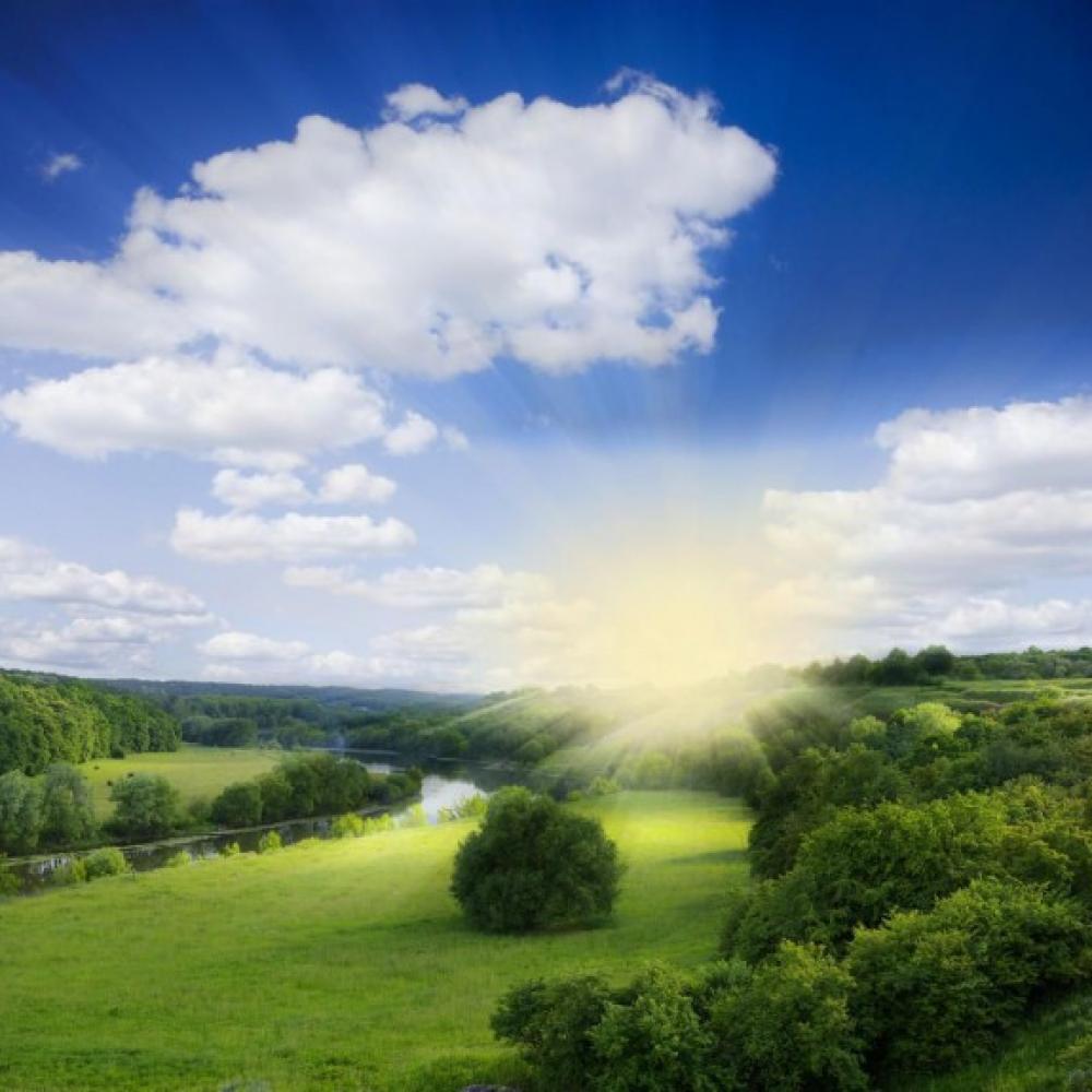 Обои 0819 Природа фотообои (Walldeco): фото, зображення, колір, малюнок