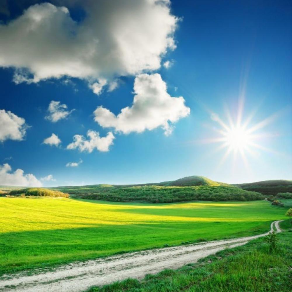 Обои 0827 Природа фотообои (Walldeco): фото, зображення, колір, малюнок