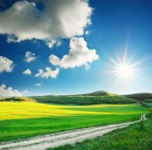 Обои 0827 Природа фотообои (Walldeco)