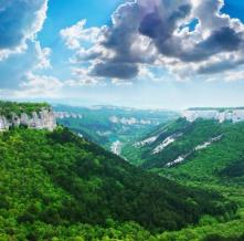 Обои 0828 Природа фотообои (Walldeco)