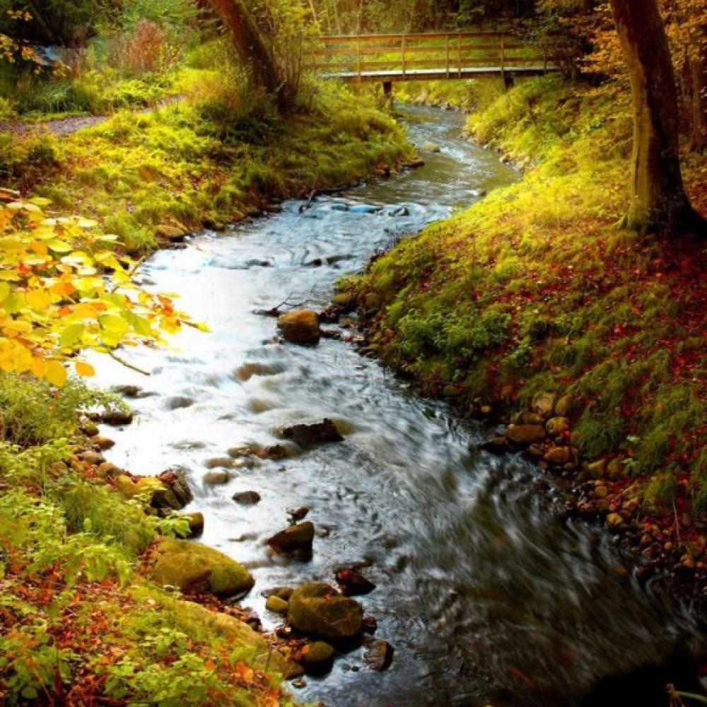Обои 0835 Природа фотообои (Walldeco): фото, зображення, колір, малюнок