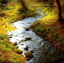 Обои 0835 Природа фотообои (Walldeco)