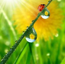 Обои 0836 Природа фотообои (Walldeco)