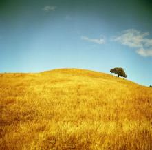 Обои 0842 Природа фотообои (Walldeco)