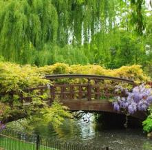 Обои 0846 Природа фотообои (Walldeco)