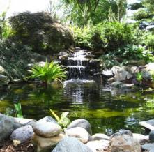 Обои 0865 Природа фотообои (Walldeco)