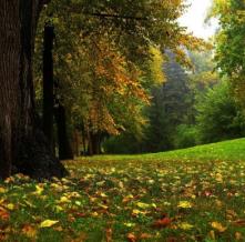 Обои 0866 Природа фотообои (Walldeco)