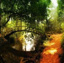 Обои 0868 Природа фотообои (Walldeco)