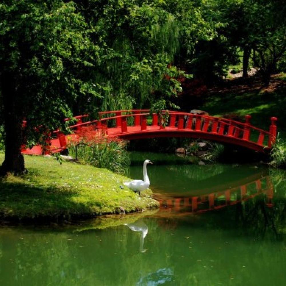 Обои 0872 Природа фотообои (Walldeco): фото, зображення, колір, малюнок