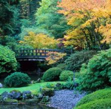 Обои 0873 Природа фотообои (Walldeco)
