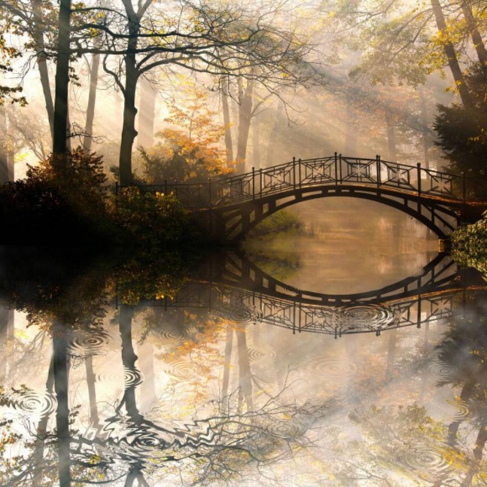 Обои 10538 Природа фотообои (Walldeco): фото, зображення, колір, малюнок