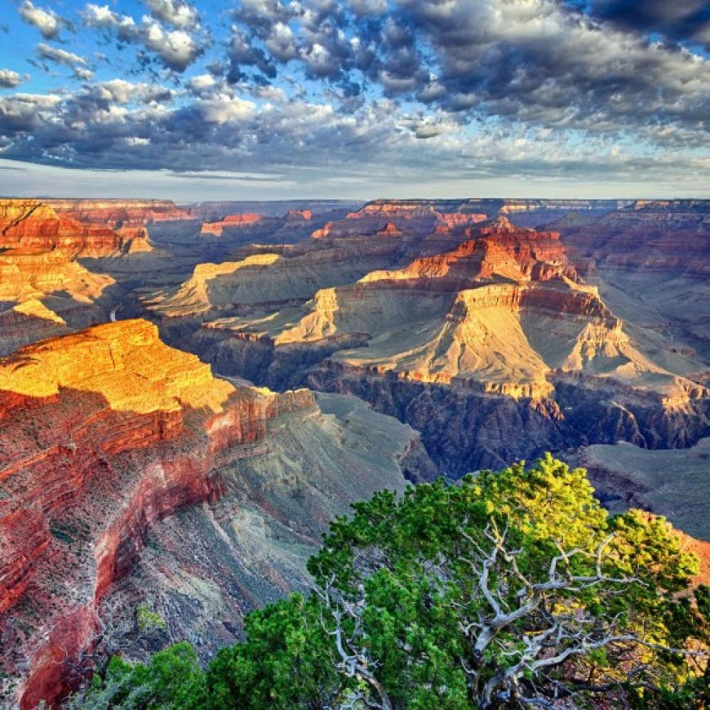 Обои 10700 Природа фотообои (Walldeco): фото, зображення, колір, малюнок