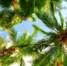 Обои 1284 Природа фотообои (Walldeco)