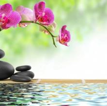 Обои 1376 Природа фотообои (Walldeco)