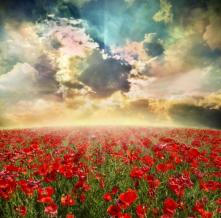 Обои 1469 Природа фотообои (Walldeco)