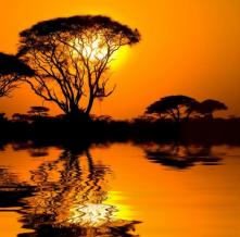 Обои 1497 Природа фотообои (Walldeco)