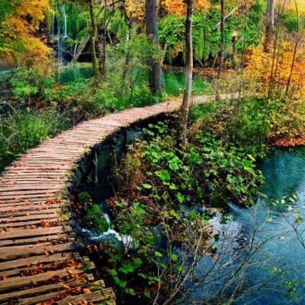 Обои 1556 Природа фотообои (Walldeco): фото, зображення, колір, малюнок