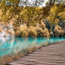 Обои 1558 Природа фотообои (Walldeco)