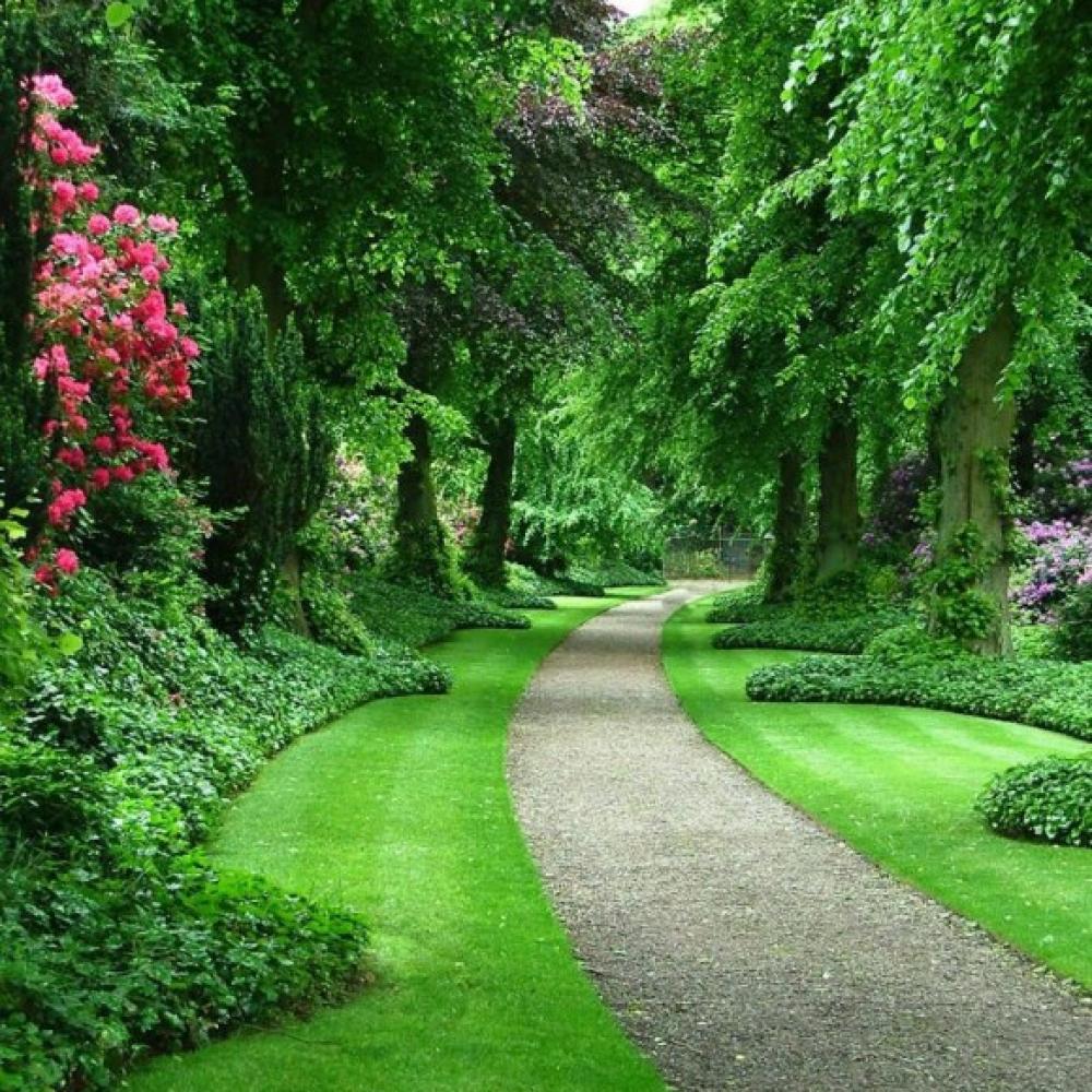 Обои 1566 Природа фотообои (Walldeco): фото, зображення, колір, малюнок
