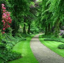 Обои 1566 Природа фотообои (Walldeco)