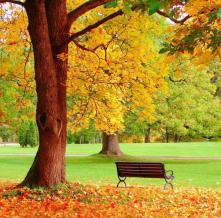 Обои 1597 Природа фотообои (Walldeco)