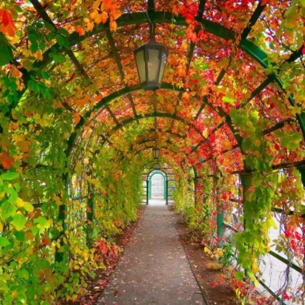 Обои 1598 Природа фотообои (Walldeco): фото, зображення, колір, малюнок
