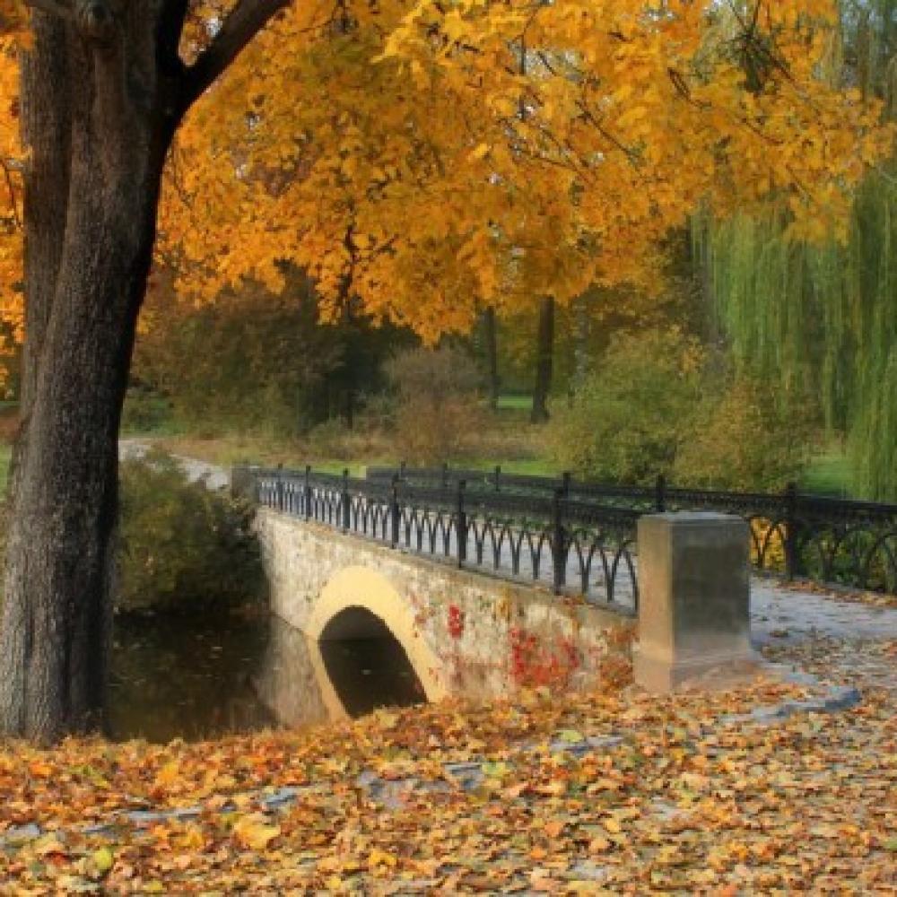 Обои 1600 Природа фотообои (Walldeco): фото, зображення, колір, малюнок