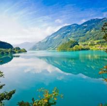 Обои 1620 Природа фотообои (Walldeco)