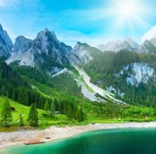 Обои 1622 Природа фотообои (Walldeco)