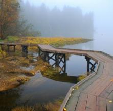 Обои 1632 Природа фотообои (Walldeco)