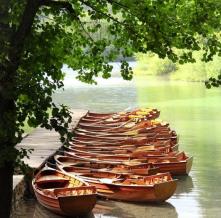 Обои 1635 Природа фотообои (Walldeco)