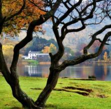 Обои 1641 Природа фотообои (Walldeco)