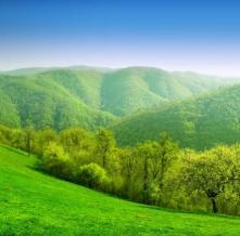 Обои 1643 Природа фотообои (Walldeco)