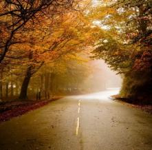 Обои 1646 Природа фотообои (Walldeco)