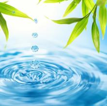 Обои 1659 Природа фотообои (Walldeco)