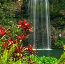 Обои 1660 Природа фотообои (Walldeco)