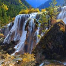 Обои 1668 Природа фотообои (Walldeco)
