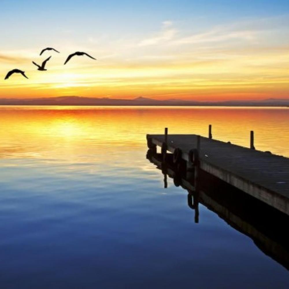 Обои 1673 Природа фотообои (Walldeco): фото, зображення, колір, малюнок