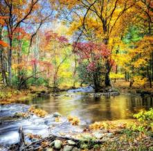 Обои 1687 Природа фотообои (Walldeco)