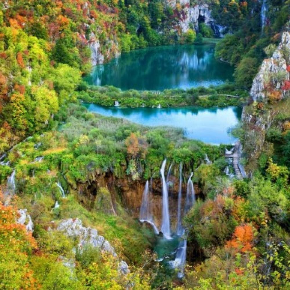 Обои 1688 Природа фотообои (Walldeco): фото, зображення, колір, малюнок