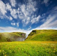 Обои 1726 Природа фотообои (Walldeco)