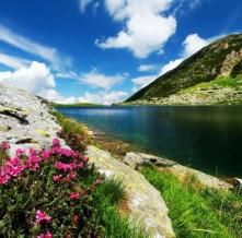Обои 1751 Природа фотообои (Walldeco)