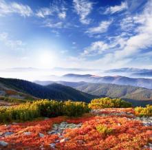 Обои 1753 Природа фотообои (Walldeco)