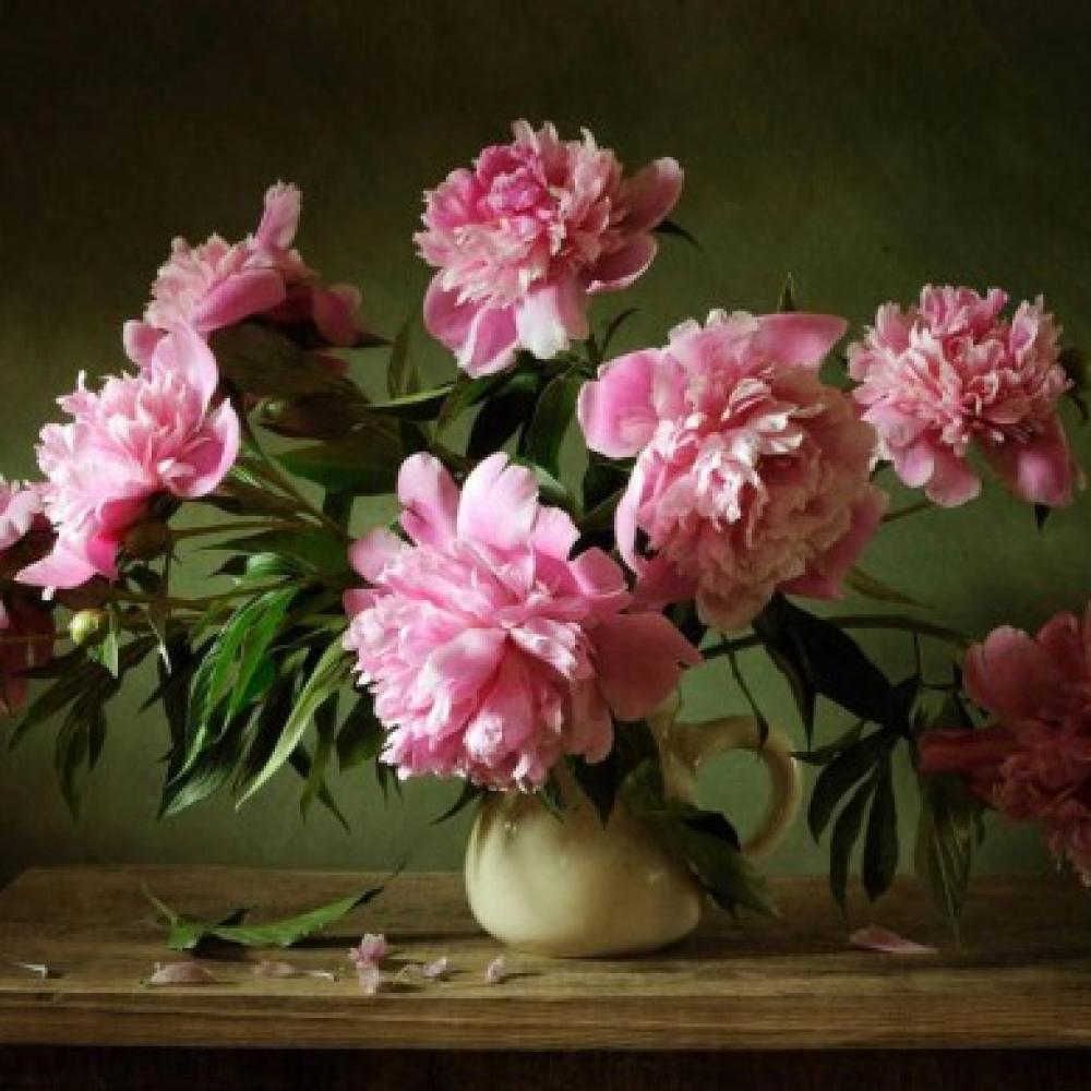 Обои 20112 Цветы фотообои (Walldeco): фото, зображення, колір, малюнок