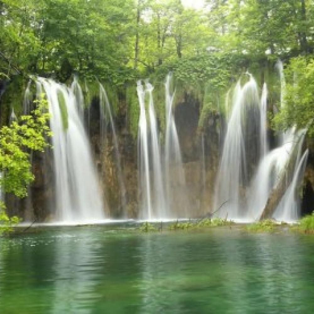 Обои 2352 Природа фотообои (Walldeco): фото, зображення, колір, малюнок
