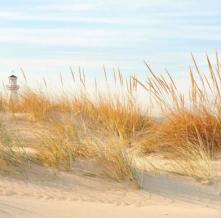 Обои 23710 Природа фотообои (Walldeco)