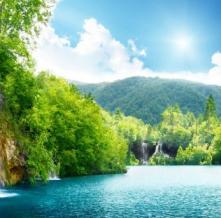 Обои 2372 Природа фотообои (Walldeco)