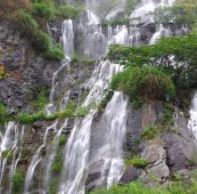 Обои 2448 Природа фотообои (Walldeco)