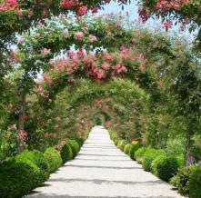 Обои 2450 Природа фотообои (Walldeco)