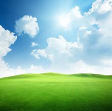 Обои 2576 Природа фотообои (Walldeco)